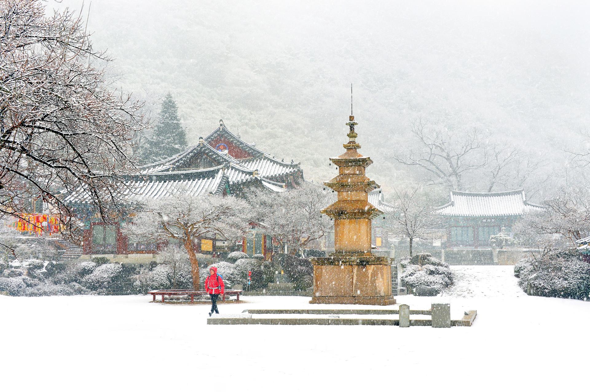 4. 표충사 겨울.jpg
