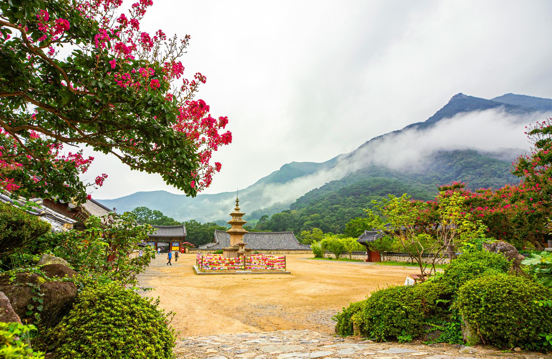 2. 표충사의 여름-2.jpg