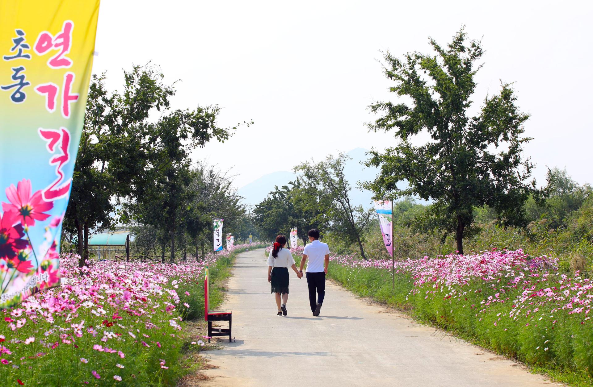 초동 연가길 (5).JPG