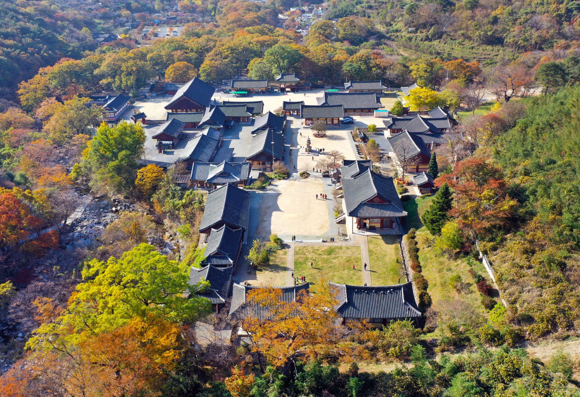 1. 표충사 전경.JPG