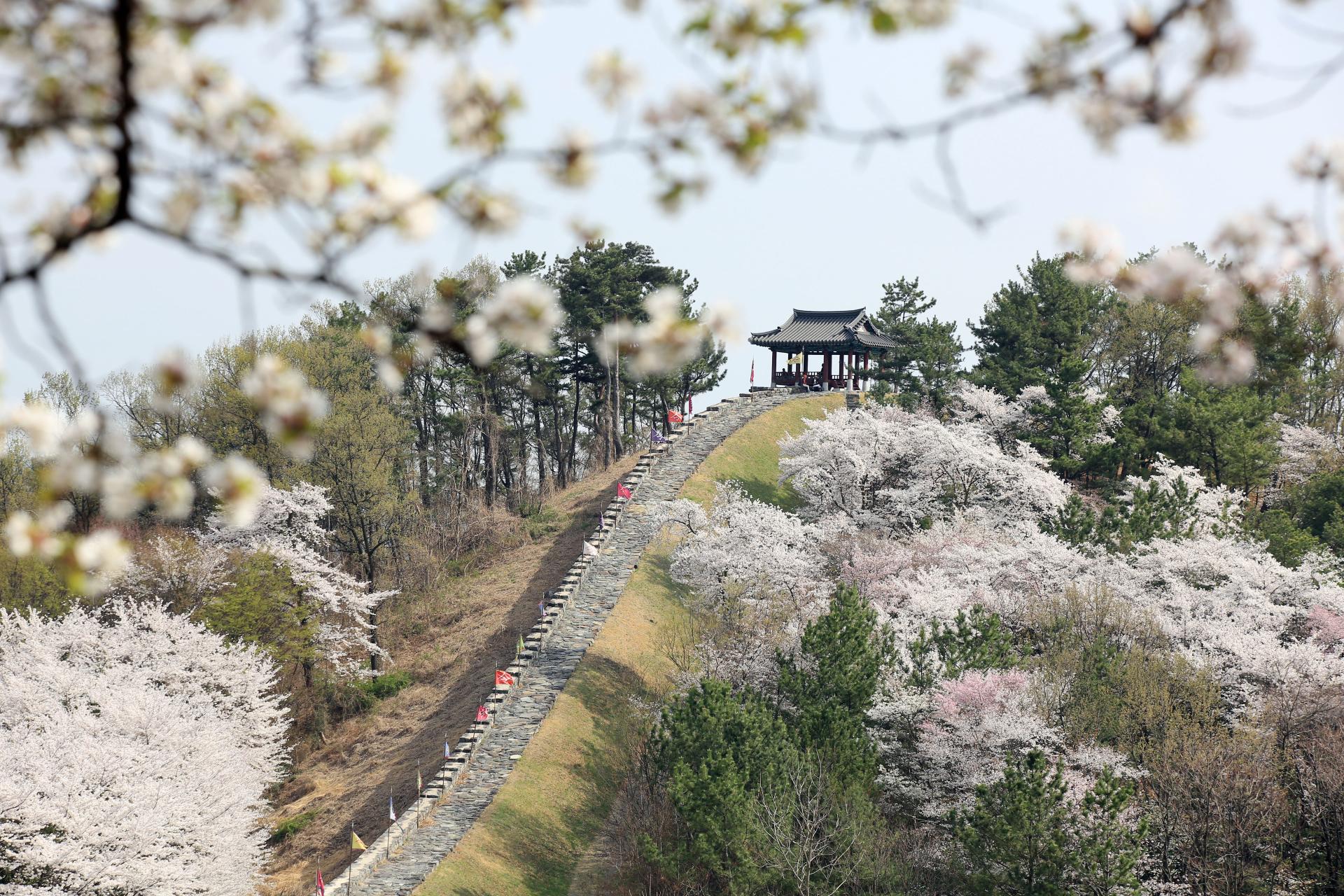 밀양읍성 (1).JPG
