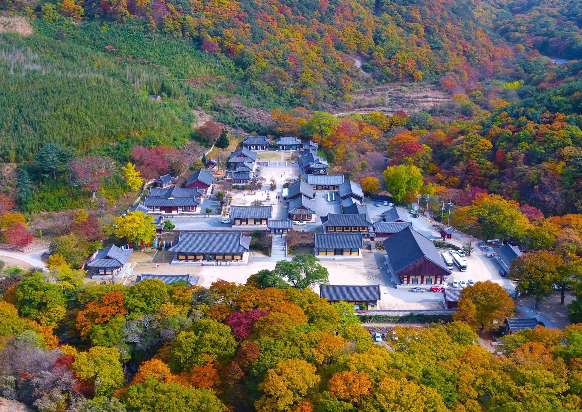 3. 표충사 가을.JPG