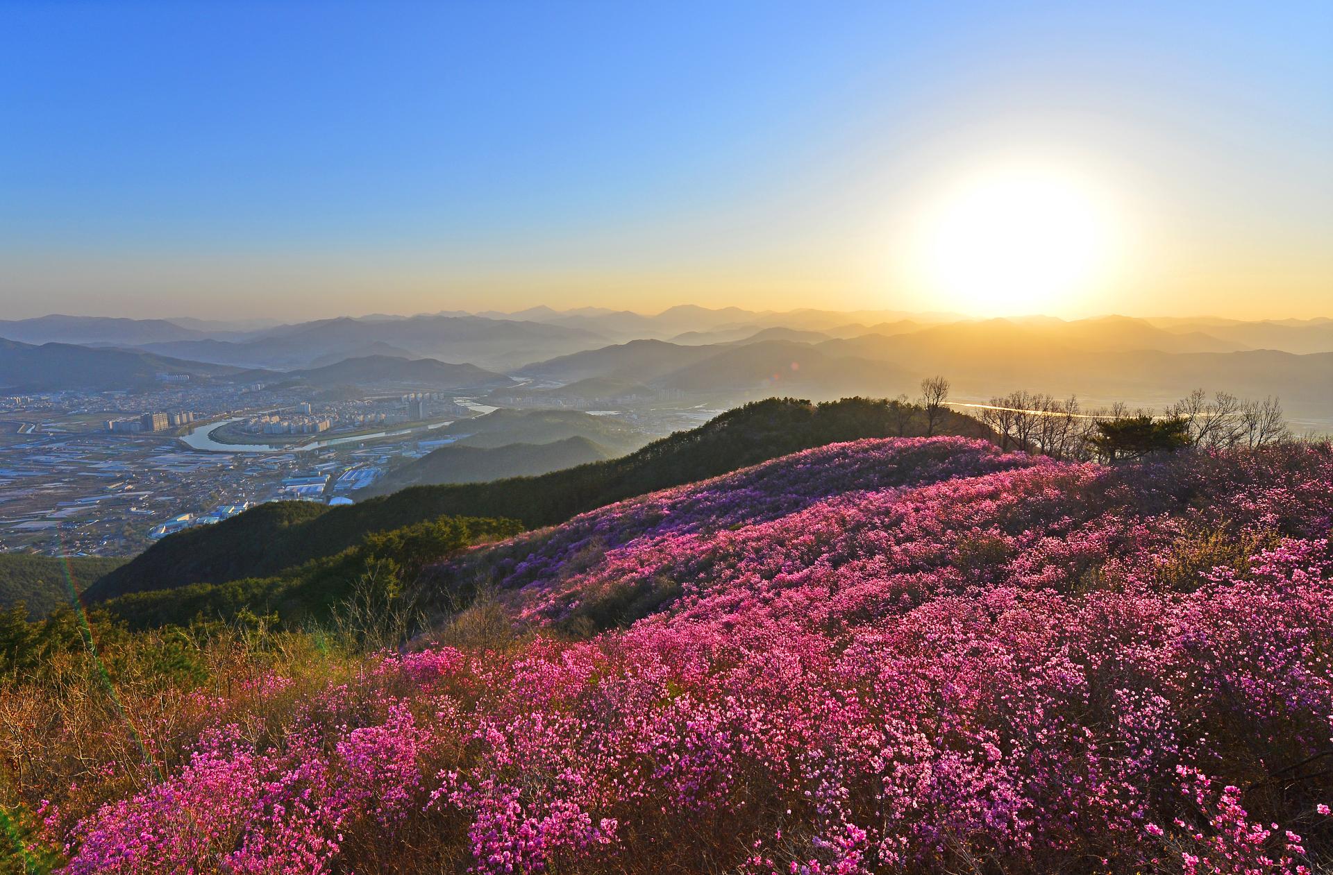 2. 밀양8경-종남산진달래2.jpg