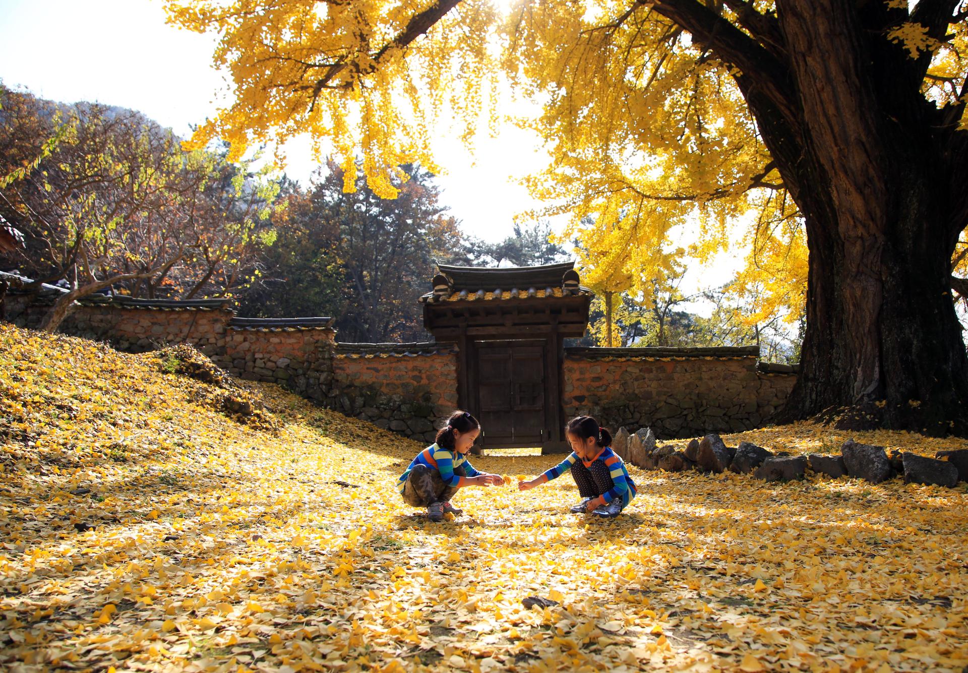 금시당 (1).JPG