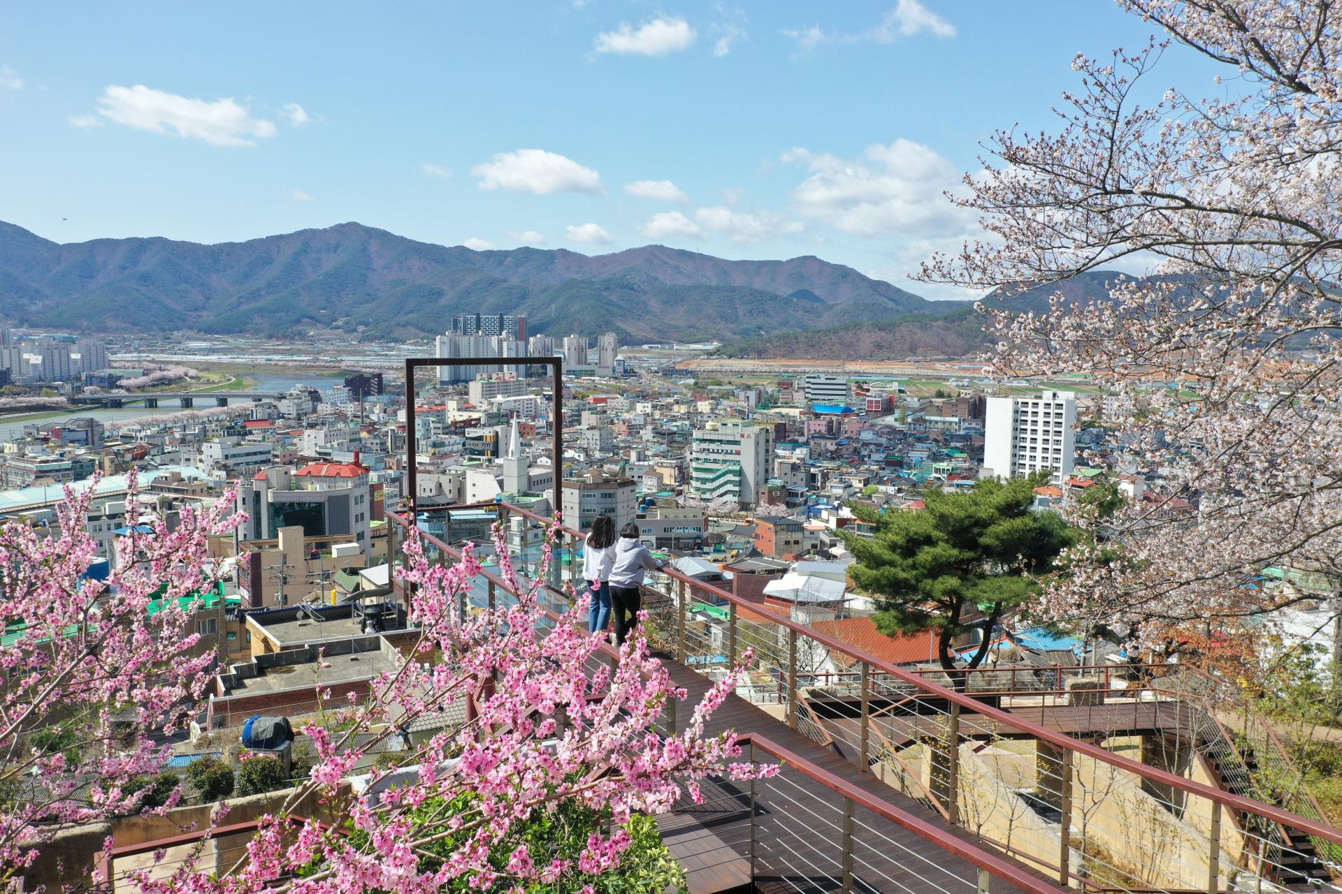 달빛 쌈지공원 (5).JPG