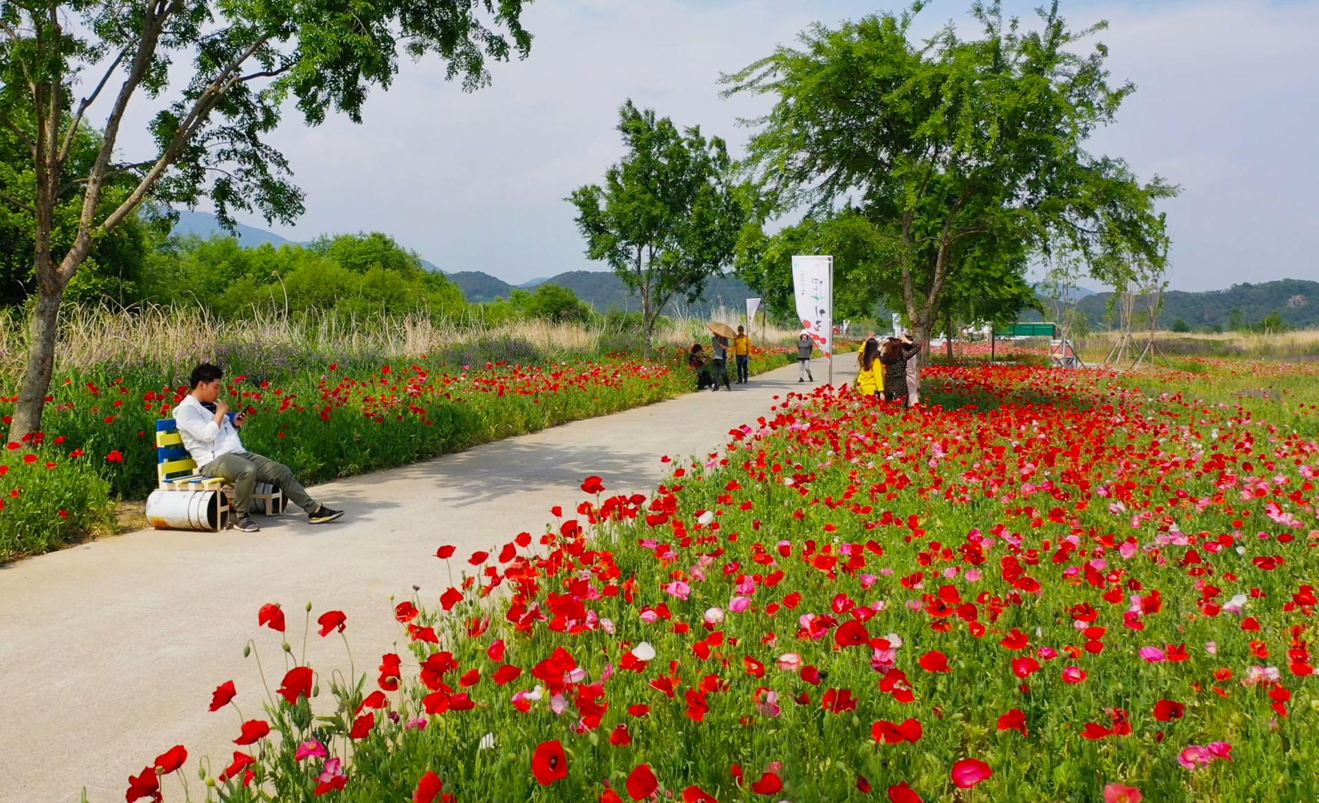 초동 연가길 (3).jpg
