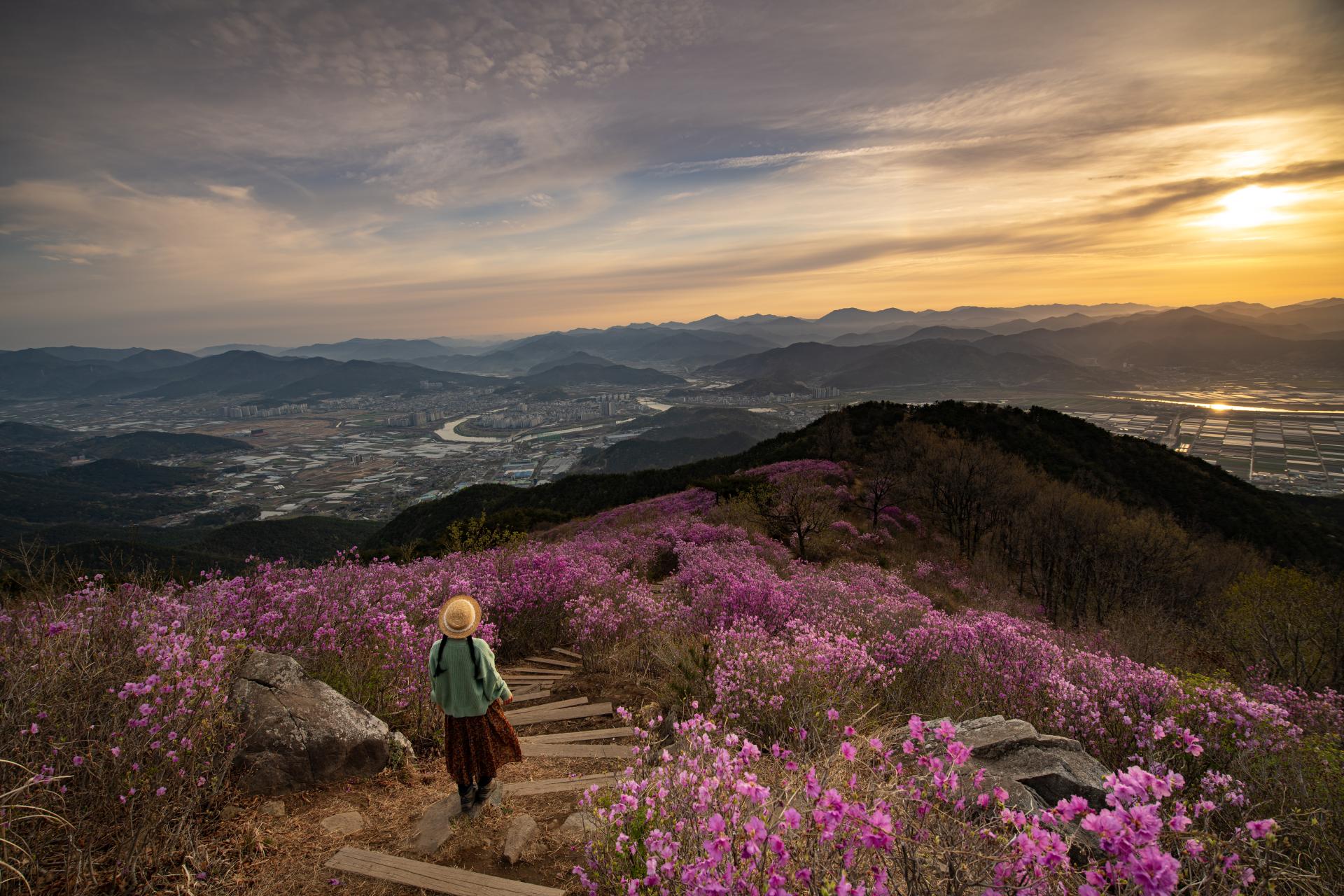 1.박성희-종남산.jpg