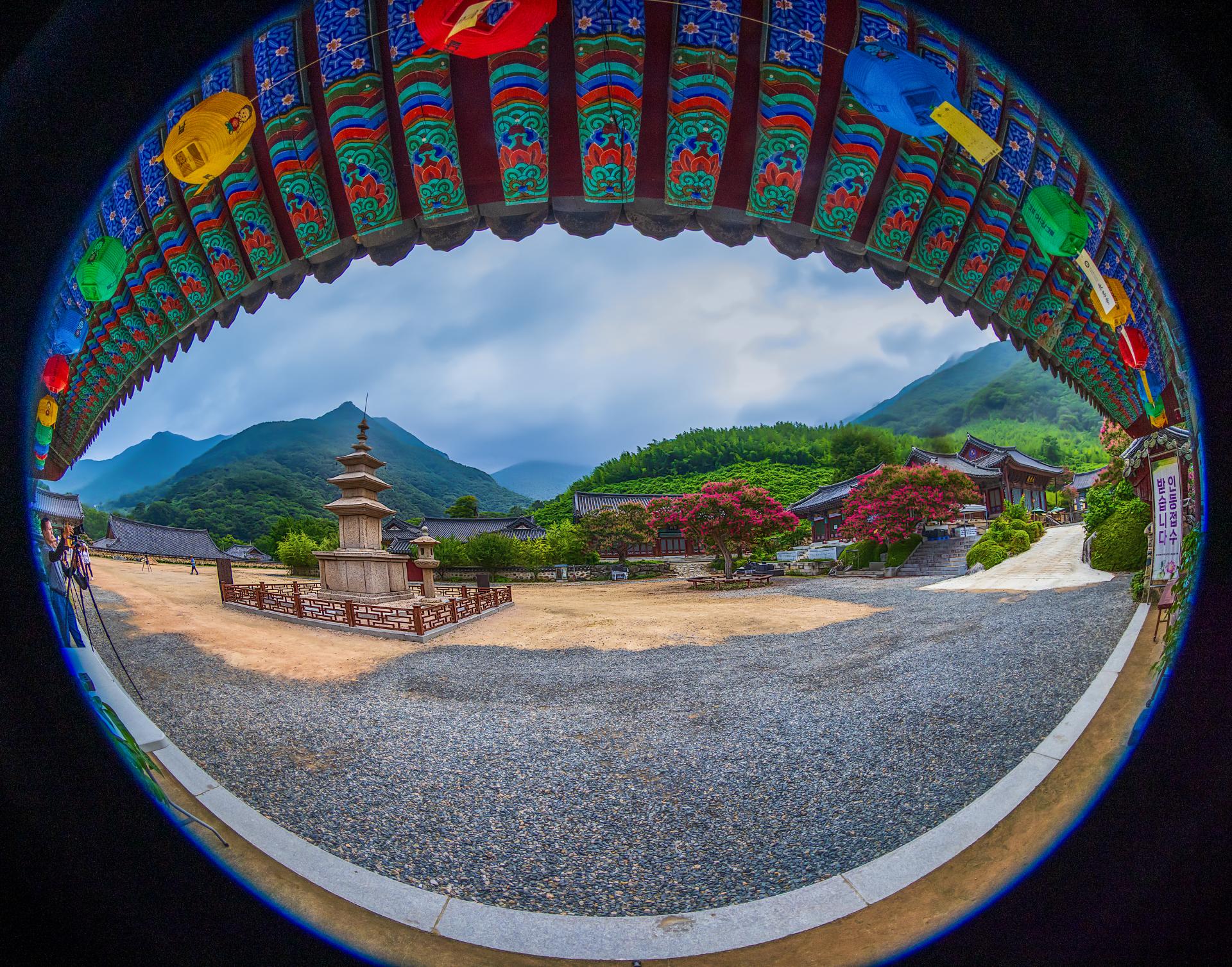 16.김찬일-표충사 전경.jpg