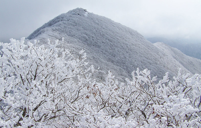 가지산3.png