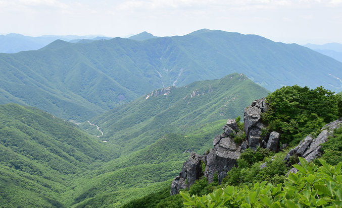 가지산4.png